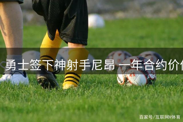 勇士签下神射手尼昂 一年合约价值390万美元