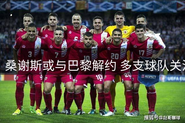 桑谢斯或与巴黎解约 多支球队关注前金童得主